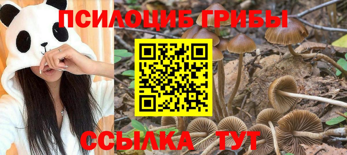 Меф Усинск